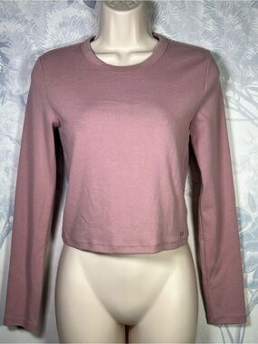 Aritzia Sunday Best Long Sleeve Tee in Mauve